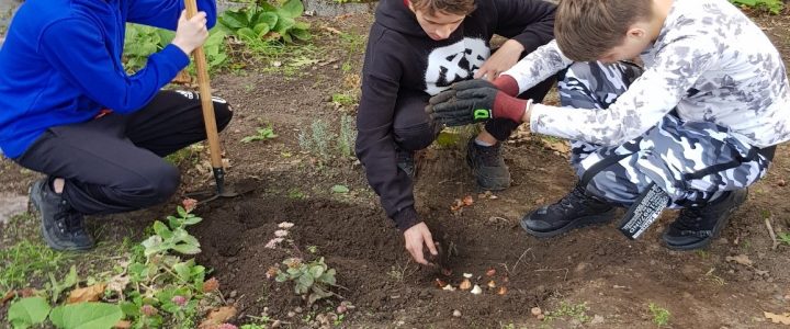 Das Gartenjahr geht zu Ende