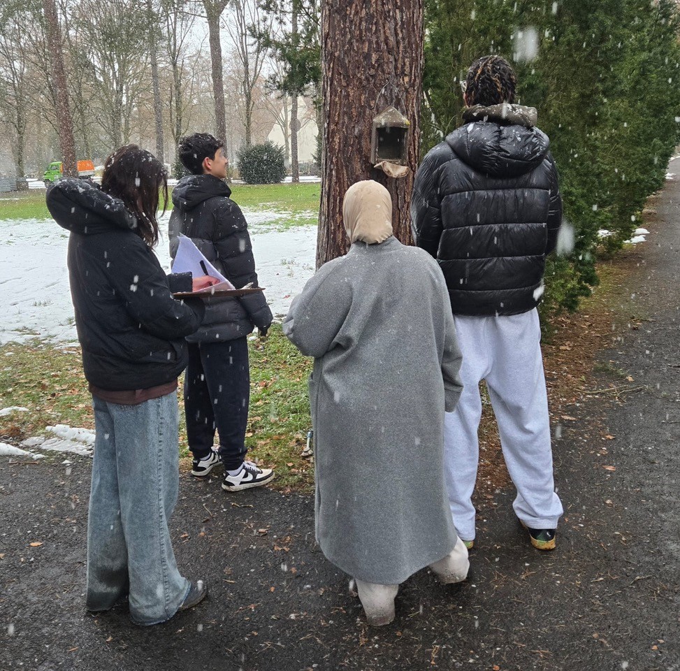 Vogelkästen-Säuberung und Aufräumaktion durch Schülerinnen und Schüler der Lindenauschule